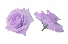 róże NEW liliowe (100 op.) - PROMOCJA